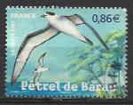 France 2007; Y&T n 4036; 0,86 Ptrel de Barau; Oiseaux 