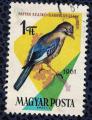 Hongrie 1961 Oblitr Used Oiseau Garrulus Glandarius Geai des Chnes