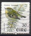 IRLANDE N 1105 o Y&T 1998 Oiseaux (Roitelet) 