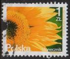 Pologne : Fleur de tournesol - oblitr - anne 2015