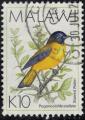 Malawi 1994 Oblitr Used Oiseau Bird Pogonocichla stellata Rougegorge toil SU