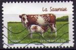 959 - Vaches de nos rgions: la Saosnoise - oblitr - anne 2014 