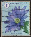 Belgique 2016 Oblitr Used Flower Fleur Anmone SU