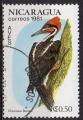 NICARAGUA N 1161 o Y&T 1981 Faune Oiseaux (Dryocopus lineatus)