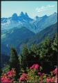 France Carte Postale crite CP Postcard Les Aiguilles d'Arves Savoie