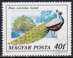 EUHU - 1977 - Yvert n 2550 - Paon indien (Pavo cristatus)