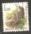Belgium - SG 3539   bird / oiseau