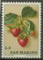 San Marin 1973 Y&T 841 NSG Fruit