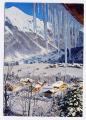 Carte Postale Moderne France - L´hiver dans nos montagnes, stalactites