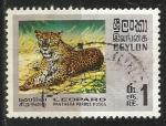 Ceylan 1970; Y&T n 416; faune sauvage, lopard