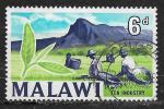 Malawi 1964 YT n 6 (o)
