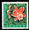 Pologne Yvert N1690 Oblitr 1968 Fleur Orchide tropicale
