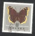 Poland - Scott 1545  butterfly / papillon