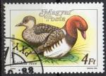 HONGRIE N 3175 o Y&T 1988 Canards sauvage (Nette rousse)