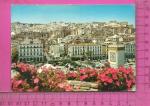 CPM  ALGERIE, ALGER : Place des Martyrs et vue de la Casbah 