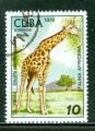 Cuba 1978 Y&T 2084 oblitr Faune Girafe
