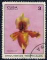 Cuba 1972 Oblitr rond Used Cypripedium exul Orchides Tropicales SU