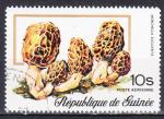 GUINEE - 1977 - Champignons  - Yvert PA 110 Oblitr