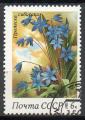 Russie Yvert N5002 Oblitr 1983 Fleur Prolesta de siberie