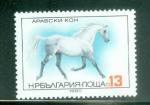 Bulgarie 1980 Y&T 2593 neuf cheval