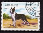 AS18 - Anne 1982 - Yvert n 426 - Chiens : Boston Terrier