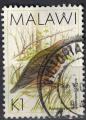 Malawi 1988 Oblitr Used Bird Oiseau Aplopelia Larvata Pigeon  Masque Blanc SU