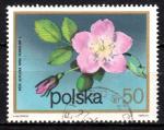EUPL - 1972 - Yvert n 2059 - Fleurs d'arbustes : Rosier des Alpes