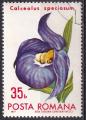 ROUMANIE -1971 - Fleurs - Yvert 2615 Oblitr