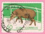 Cuba 1964.- Zoo Habana. Y&T 780B. Scott 902. Michel 963.