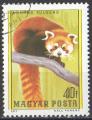 Hongrie 1977; Y&T n 2587; 40f, faune, petit Panda
