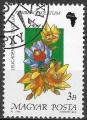 HONGRIE - 1990 - Yt n 3263 - Ob - Fleur : leucadendron tinctum pubibracteolatum