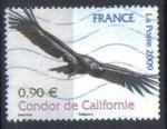  FRANCE 2009 - YT 4375 - ANIMAUX DISPARUS MENACES - CONDOR DE CALIFORNIE