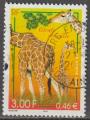 2000 3333 oblitr Girafe