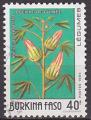 Timbre oblitr n 897(Yvert) Burkina Faso 1994 - Lgumes, oseille de Guine
