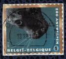 Belgique 2013 Oblitr Used Zoo d'Anvers Animaux Phoca vitulina Phoque commun