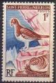 St-Pierre & Miquelon 1963 - Oiseau : eiders, NeufSG/MNG - YT 365 *