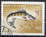 Hongrie oblitr YT 1911 poisson