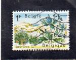 Belgique oblitr n 1409 Rserve domaniale des dunes de l'ouest BE17133
