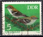 RDA 1973; Y&T n 1531; 5p oiseaux, roitelet triple bandeau