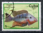 Timbre  CUBA   1977  Obl  N  1993   Y&T  Poisson