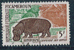 Rp. Cameroun 1962 - Y&T 345 - oblitr - hippopotame 