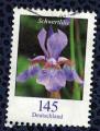 Allemagne 2006 Oblitr rond Used Flower Fleur Schwertlilie Iris Belamcanda