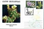 Envelope speciale, 2014, Roumanie, Cactus encyclopedia, Acharagma huasteca