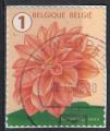 Belgique 2016 Oblitr rond Used Fleur Flower Dahlia SU