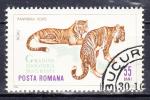 ROUMANIE -1964 - Tigre - Yvert 2058 Oblitr