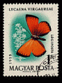 Hongrie 1959 - YT PA228 - oblitr - papillon cuivre rare