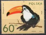 POLOGNE N 2009 o Y&T 1972 Animaux zoos (Toucan)