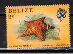 Bélize / 1984 / Vie marine, coraux, éponges / YT n° 659 **