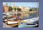 CPSM-CPM Corse  : Saint-Florent , sur le port