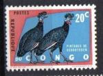 Congo 1963 - YT 482 - Protection des oiseaux : (Pintade de Schouteden)